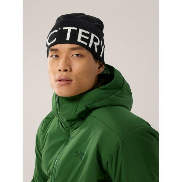 ArcTeryx ArcTeryx Word Head Toque X000007590 Gjertsen Sport 3