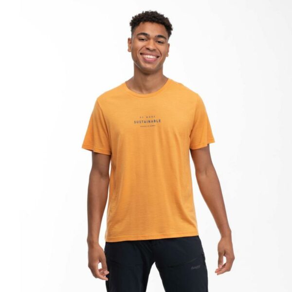 Bergans Bergans Graphic Wool Tee Herre Golden Field 6878 Gjertsen Sport 1