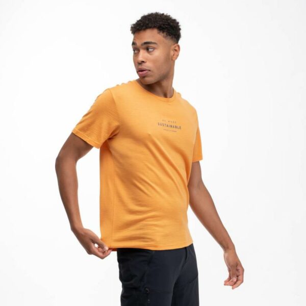 Bergans Bergans Graphic Wool Tee Herre Golden Field 6878 Gjertsen Sport 1 2