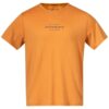 Bergans Bergans Graphic Wool Tee Herre Golden Field 6878 Gjertsen Sport 1