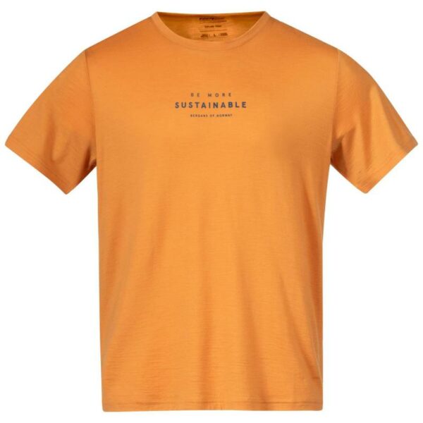 Bergans Bergans Graphic Wool Tee Herre Golden Field 6878 Gjertsen Sport 1