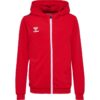 Hummel Hummel Hmlauthentic Pl Zip Hoodie Kids 219980 Gjertsen Sport 2