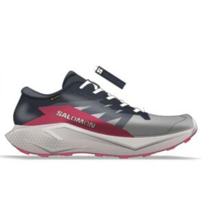 Salomon Salomon Alphaglide Gtx W Grå-Blå L47802300 Gjertsen Sport 1