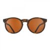 Goodr The Circle Nine Dollar Solbrille CG-TR-BR1-NR Gjertsen Sport 7