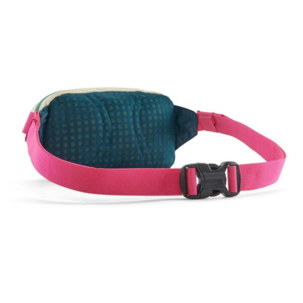 Patagonia Patagonia Terravia Mini Hip Pack P49448 Gjertsen Sport 18