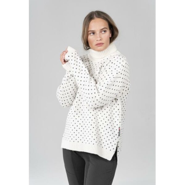 Devold Devold SØRISEN WOOL HIGH NECK WMN TC 660 735 A Gjertsen Sport 3