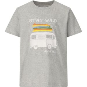 Zig Zag Zigzag Woodtown T-skjorte Barn Grå z261047 Gjertsen Sport 1